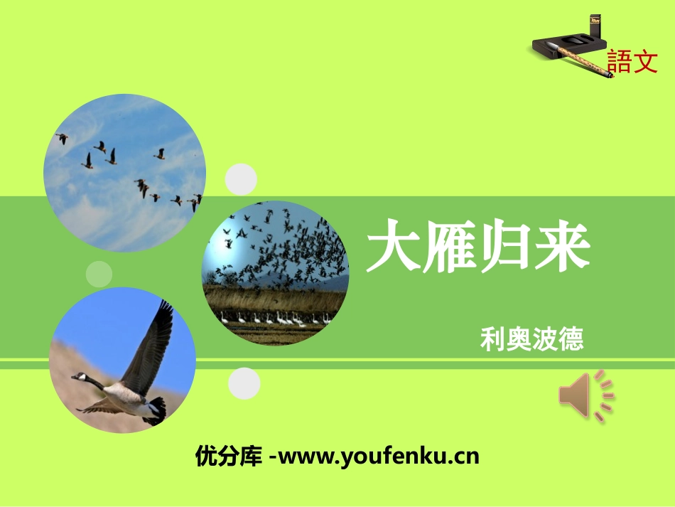 《大雁归来》PPT课件[部编版八年级语文下册]_第1页