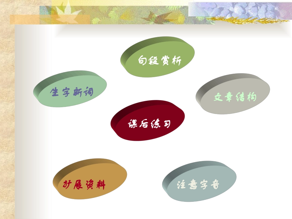 《桃花心木》PPT课件[部编版六年级语文下册]_第1页