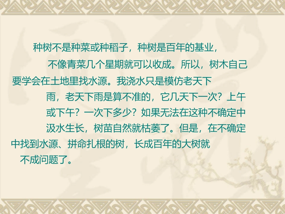 《桃花心木》PPT课件[部编版六年级语文下册]_第2页