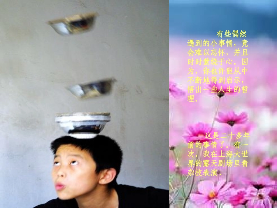 《顶碗少年》PPT课件[部编版六年级语文下册]_第2页