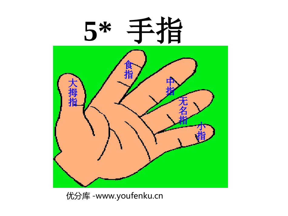 《手指》PPT课件[部编版六年级语文下册]_第1页