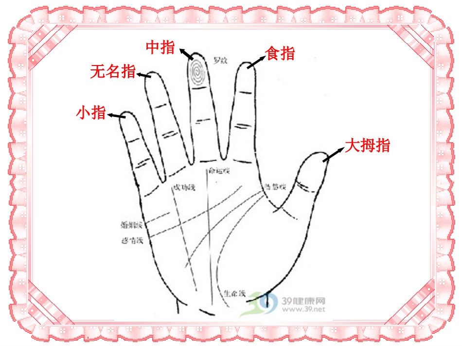 《手指》PPT课件[部编版六年级语文下册]_第3页