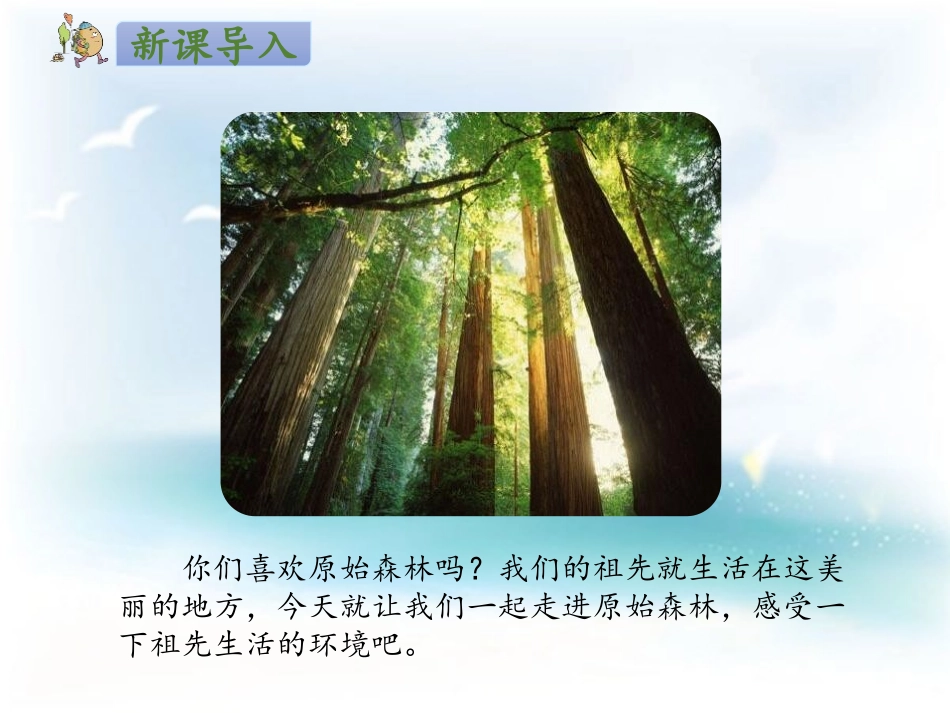 《祖先的摇篮》PPT课件[部编版二年级语文下册]_第2页