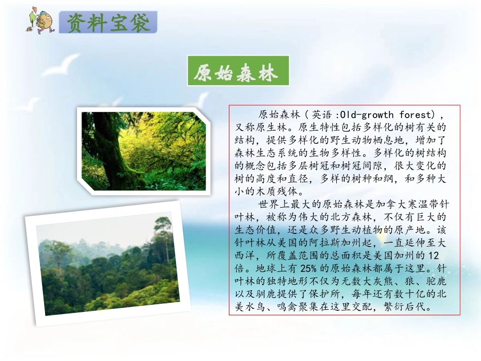 《祖先的摇篮》PPT课件[部编版二年级语文下册]_第3页
