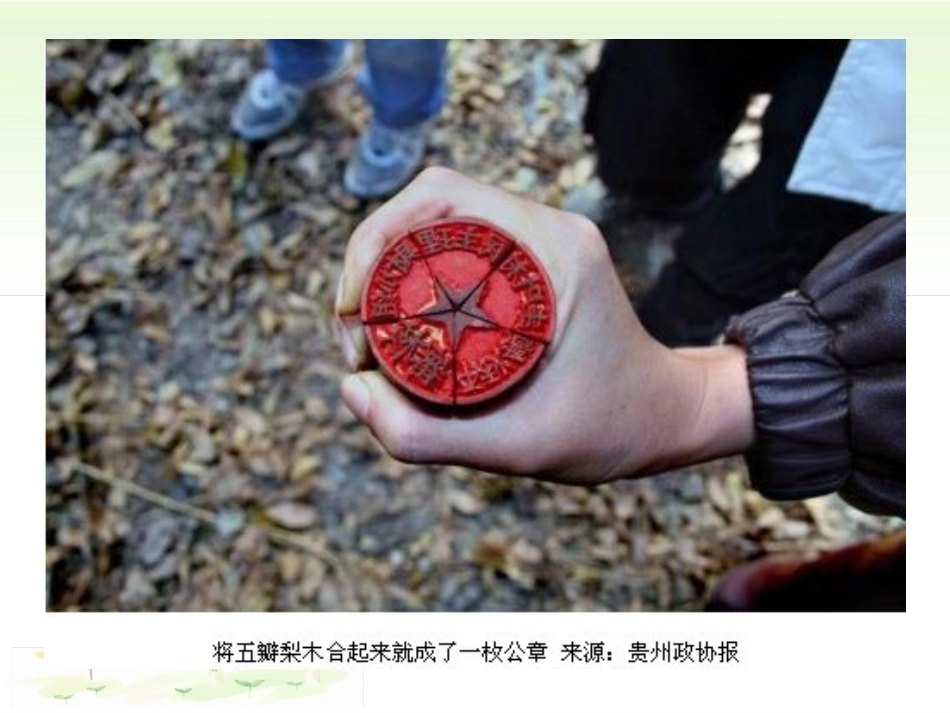 《生活在民主国家》追求民主价值PPT课件[九年级道德与法治]_第3页