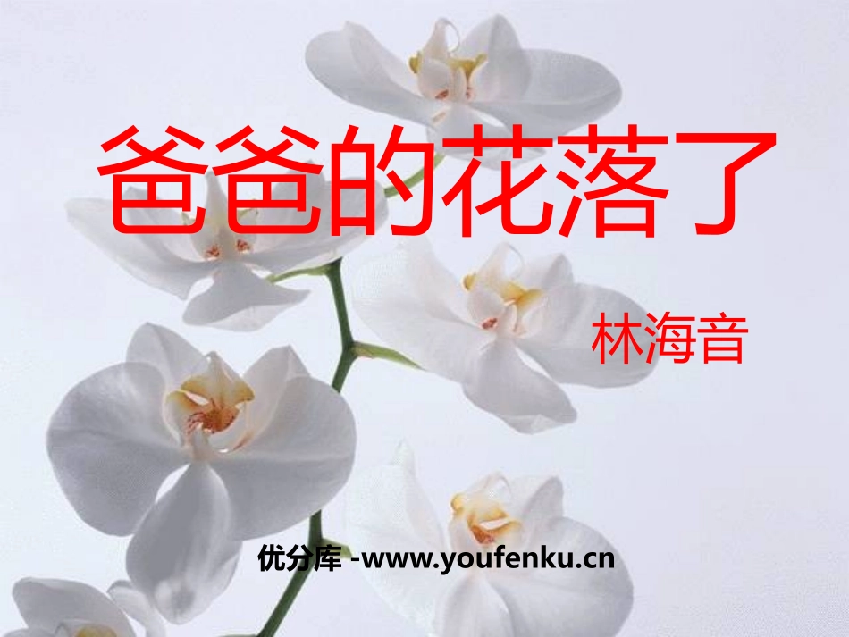 《爸爸的花儿落了》PPT课件[冀教版七年级语文上册]_第1页