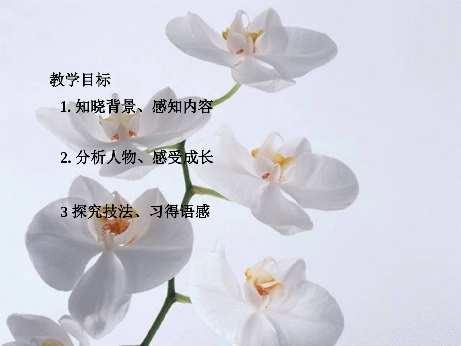 《爸爸的花儿落了》PPT课件[冀教版七年级语文上册]_第2页