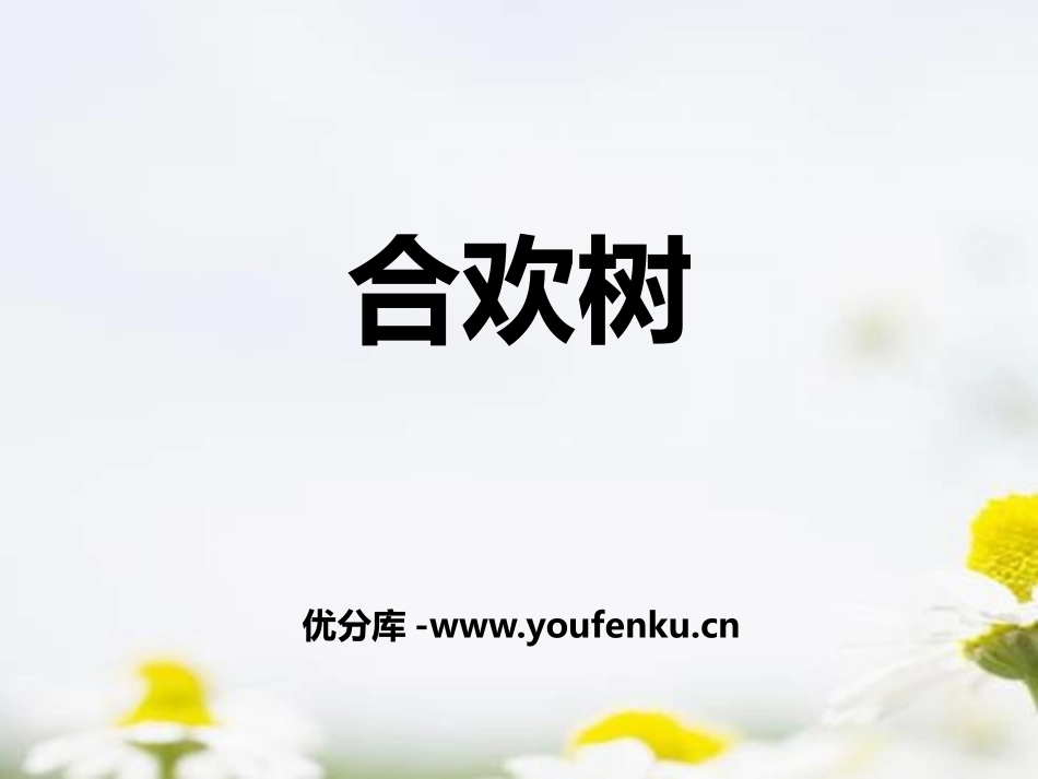 《合欢树》PPT课件[冀教版七年级语文上册]_第1页