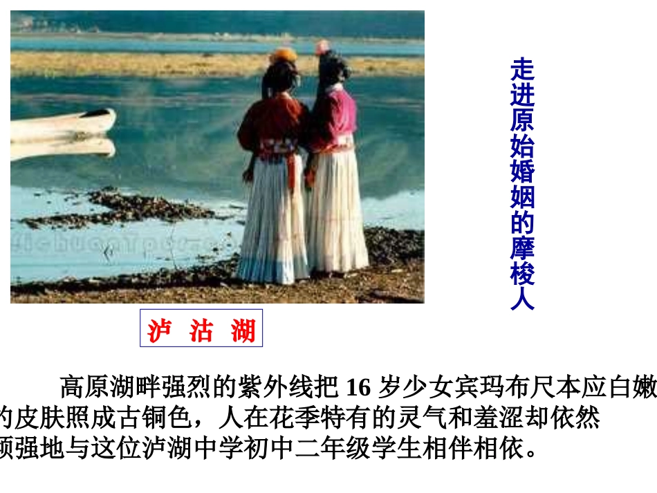 《藏戏》PPT课件[部编版六年级语文下册]_第3页
