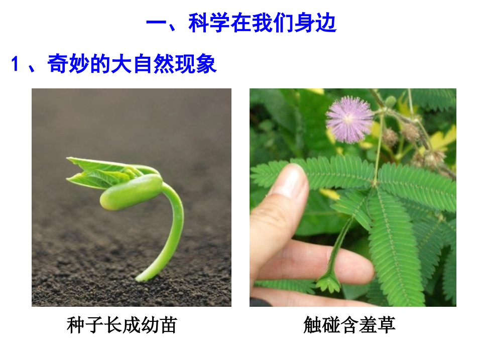 《科学并不神秘》PPT课件[浙教版七年级科学上册]_第2页