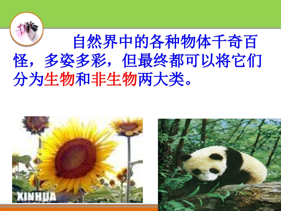 《生物与非生物》PPT课件[浙教版七年级科学上册]_第2页
