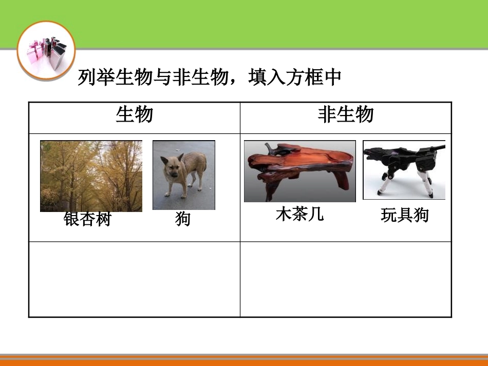 《生物与非生物》PPT课件[浙教版七年级科学上册]_第3页