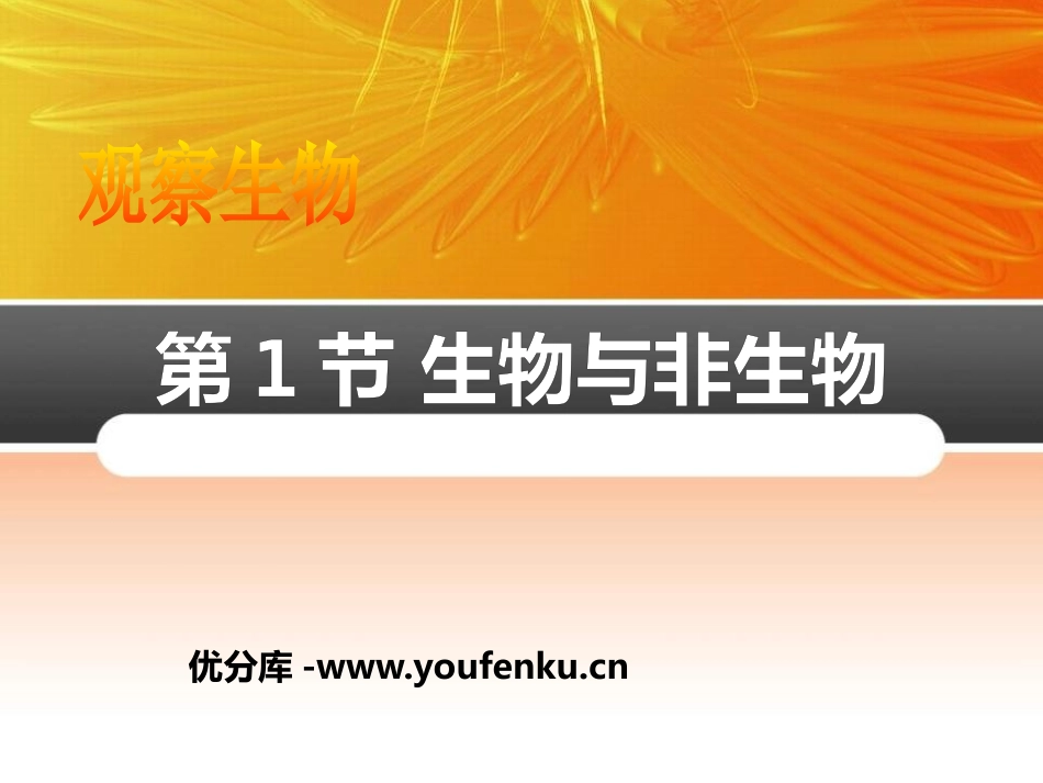 《生物与非生物》PPT课件[浙教版七年级科学上册]_第1页
