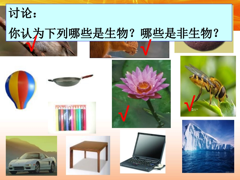 《生物与非生物》PPT课件[浙教版七年级科学上册]_第3页