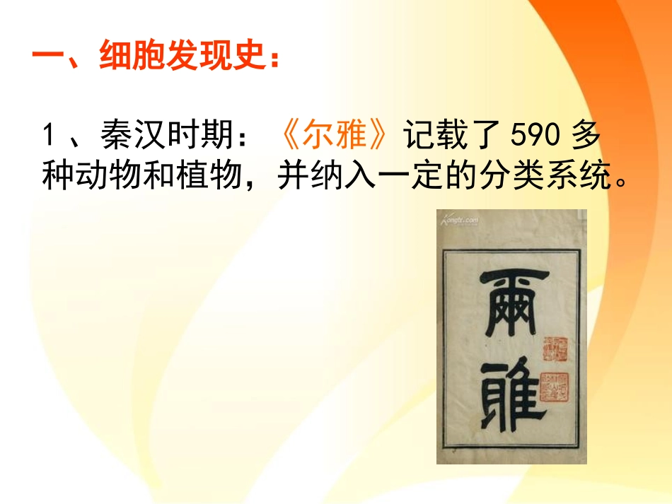《细胞》PPT课件[浙教版七年级科学上册]_第2页