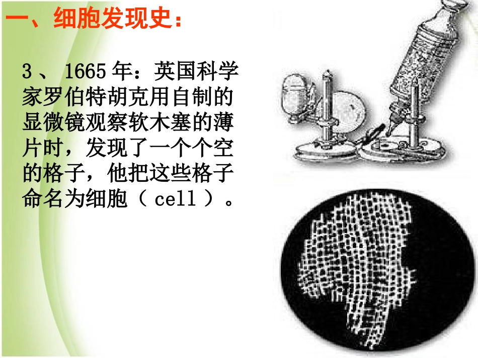 《细胞》PPT课件[浙教版七年级科学上册]_第3页