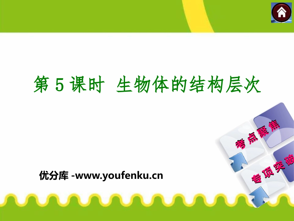 《生物体的结构层次》PPT课件[浙教版七年级科学上册]_第1页