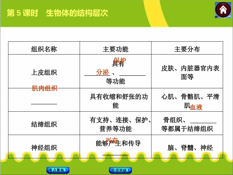 《生物体的结构层次》PPT课件[浙教版七年级科学上册]_第3页