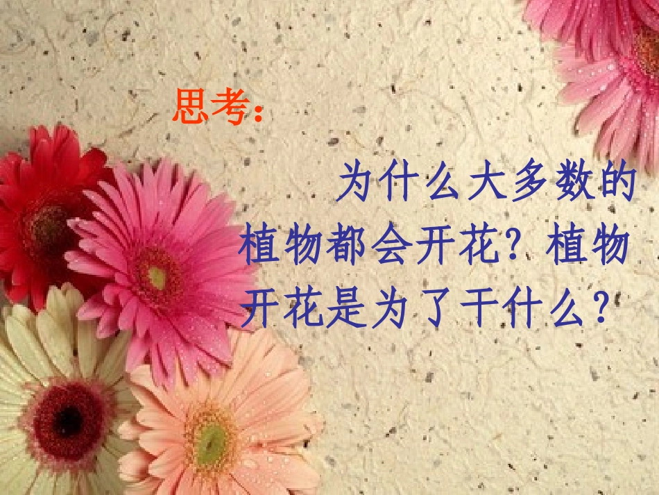 《常见的植物》PPT课件[浙教版七年级科学上册]_第3页