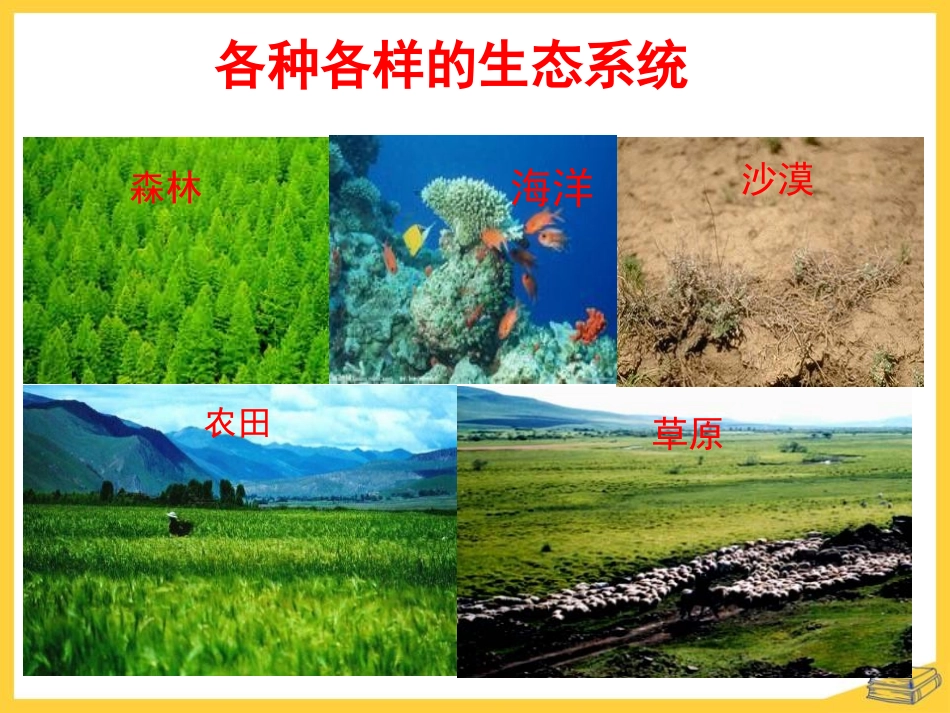 《物种的多样性》PPT课件[浙教版七年级科学上册]_第3页