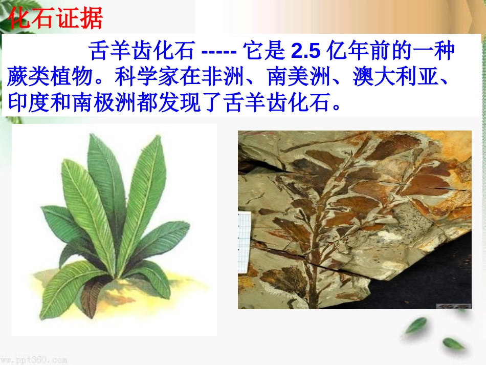 《地球表面的板块》PPT课件[浙教版七年级科学上册]_第3页