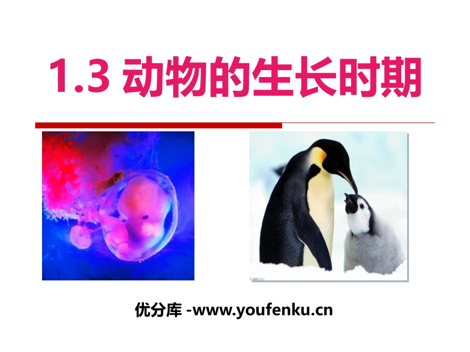 《动物的生长时期》PPT课件[浙教版七年级科学下册]_第1页