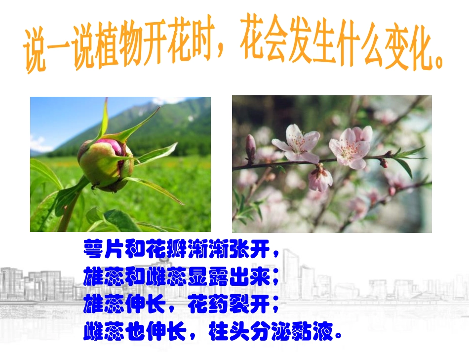 《植物生殖方式的多样性》PPT课件[浙教版七年级科学下册]_第3页