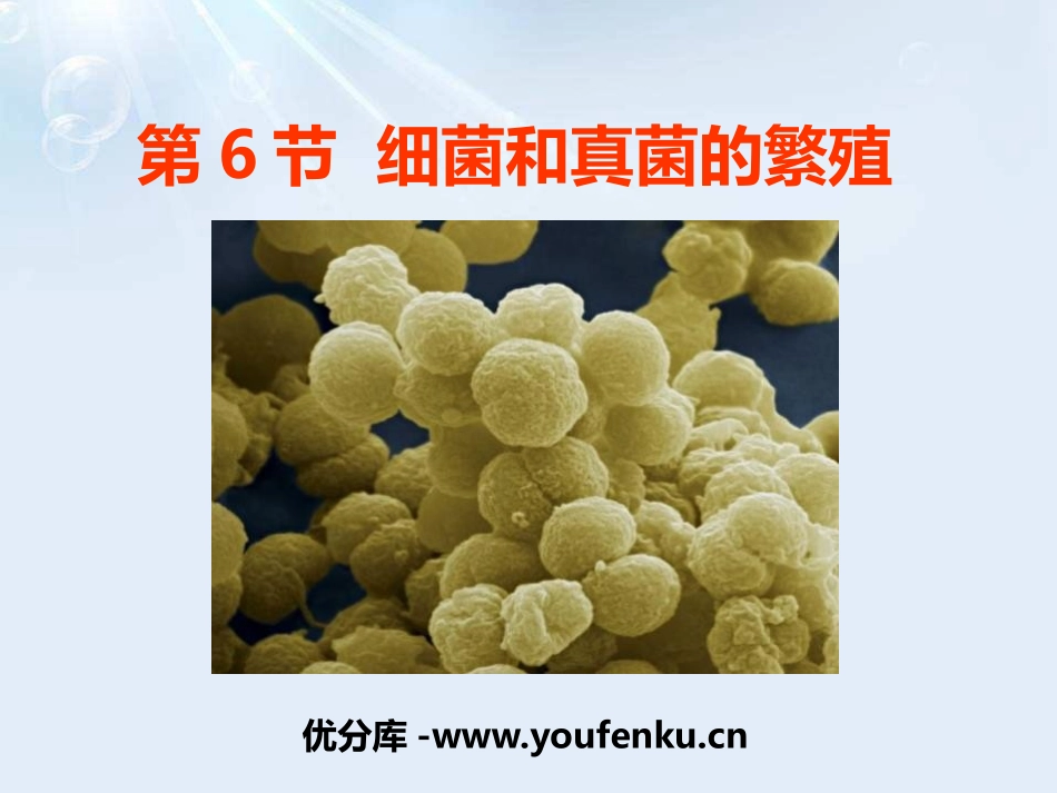 《细菌和真菌的繁殖》PPT课件[浙教版七年级科学下册]_第1页