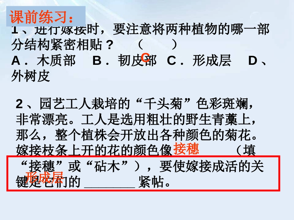 《细菌和真菌的繁殖》PPT课件[浙教版七年级科学下册]_第2页