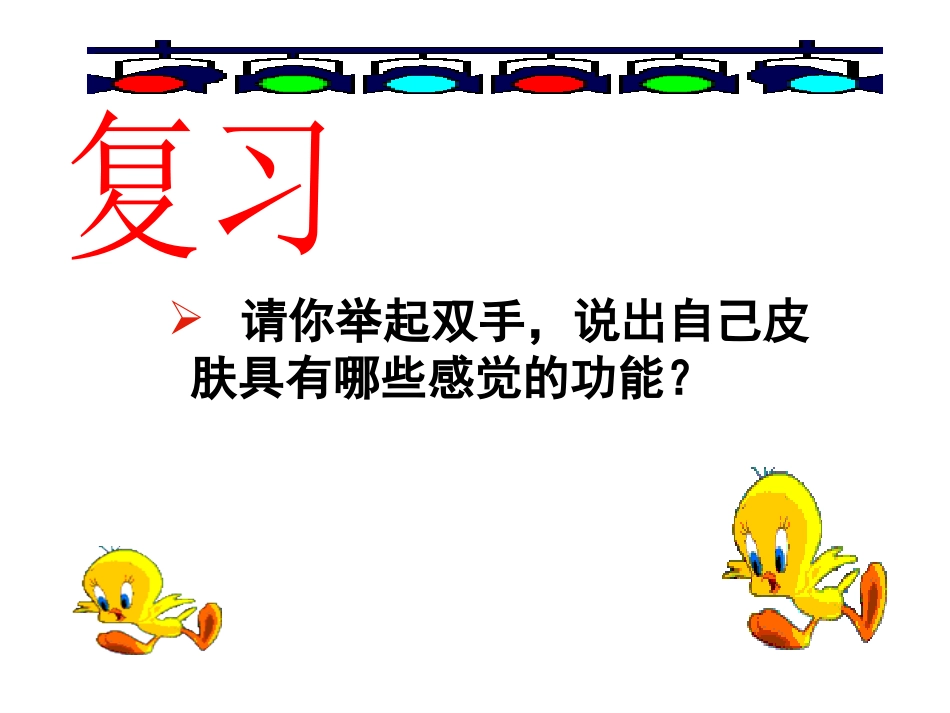 《感觉世界》PPT课件[浙教版七年级科学下册]_第2页