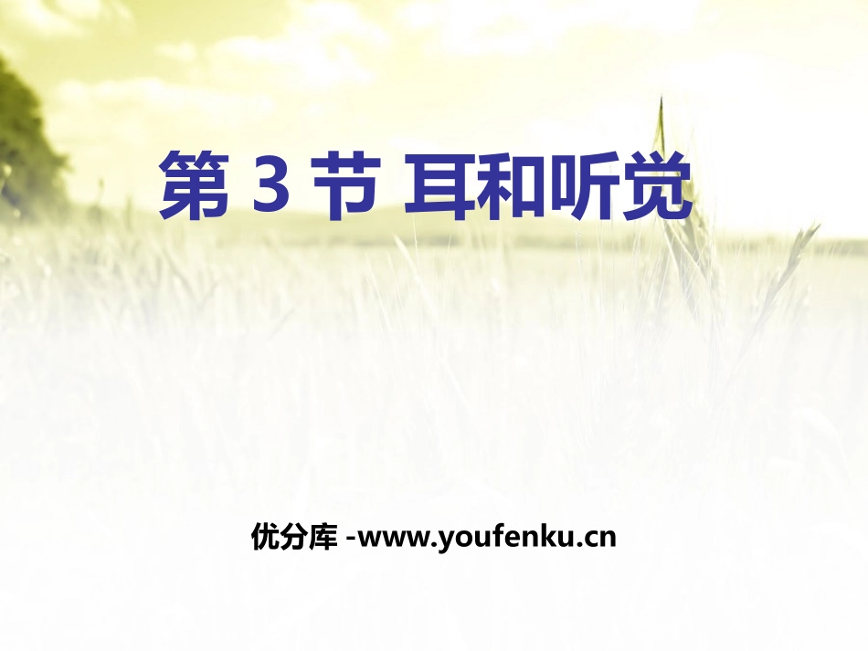 《耳和听觉》PPT课件[浙教版七年级科学下册]_第1页