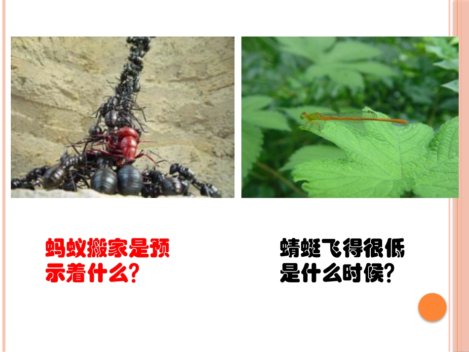 《气温》PPT课件[浙教版八年级科学上册]_第2页