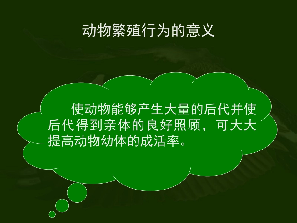 《动物的行为》PPT课件[浙教版八年级科学上册]_第1页