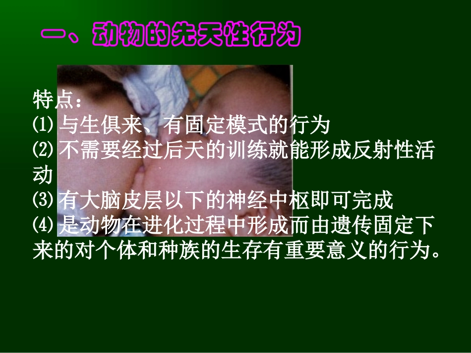 《动物的行为》PPT课件[浙教版八年级科学上册]_第3页
