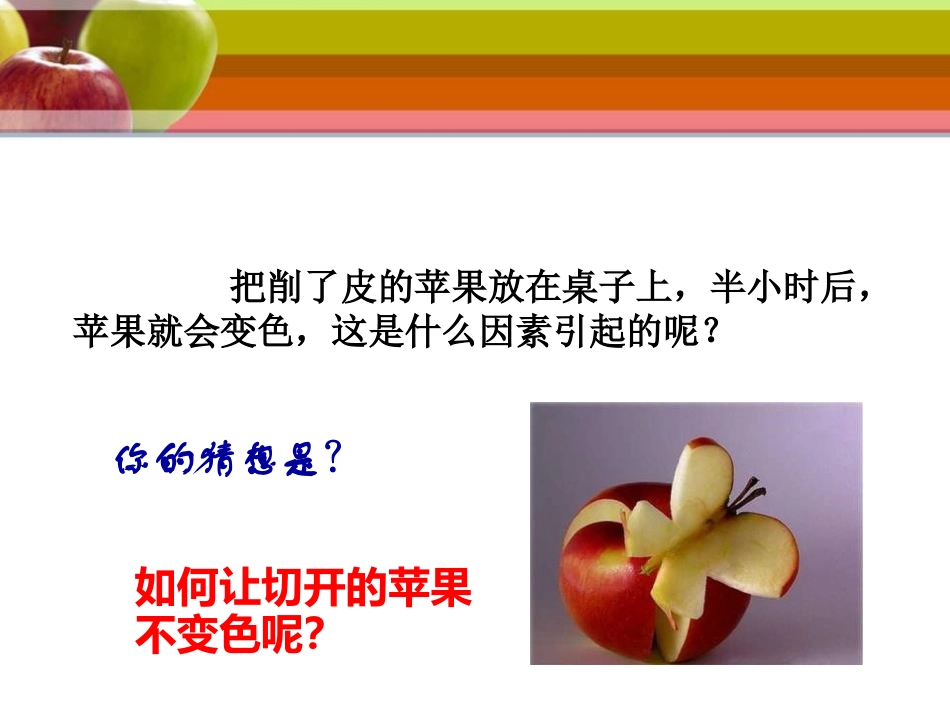 《氧化和燃烧》PPT课件[浙教版八年级科学下册]_第2页