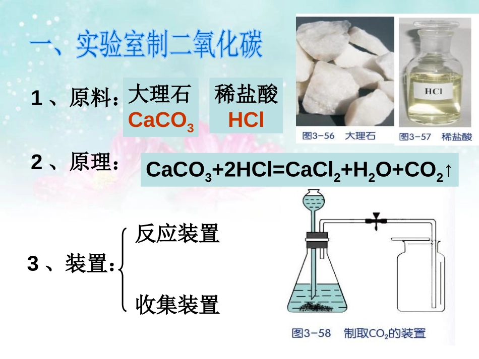 《二氧化碳》PPT课件[浙教版八年级科学下册]_第1页