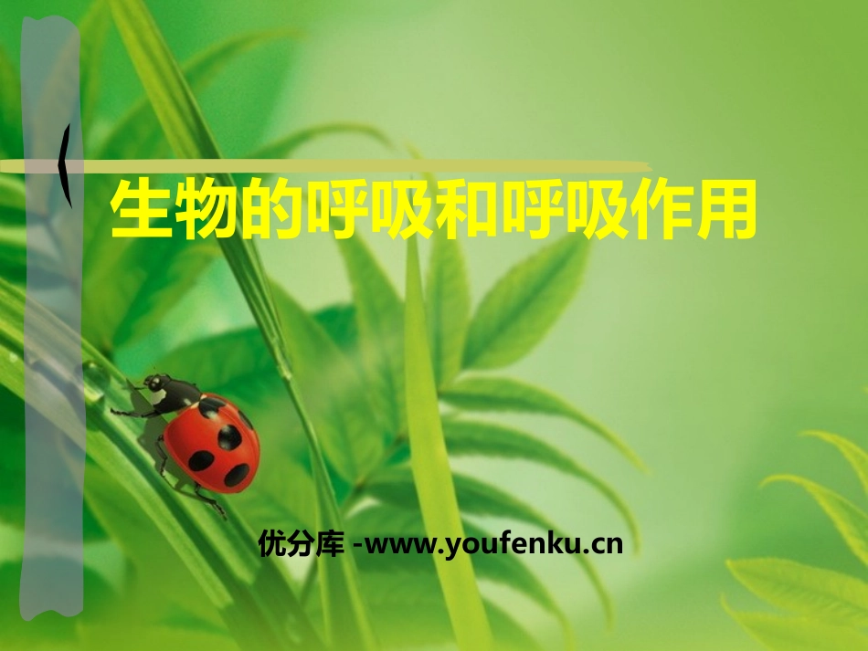 《生物的呼吸和呼吸作用》PPT课件[浙教版八年级科学下册]_第1页