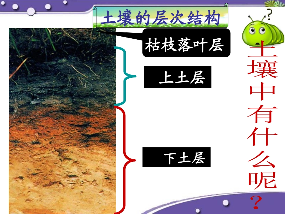 《土壤的成分》PPT课件[浙教版八年级科学下册]_第2页