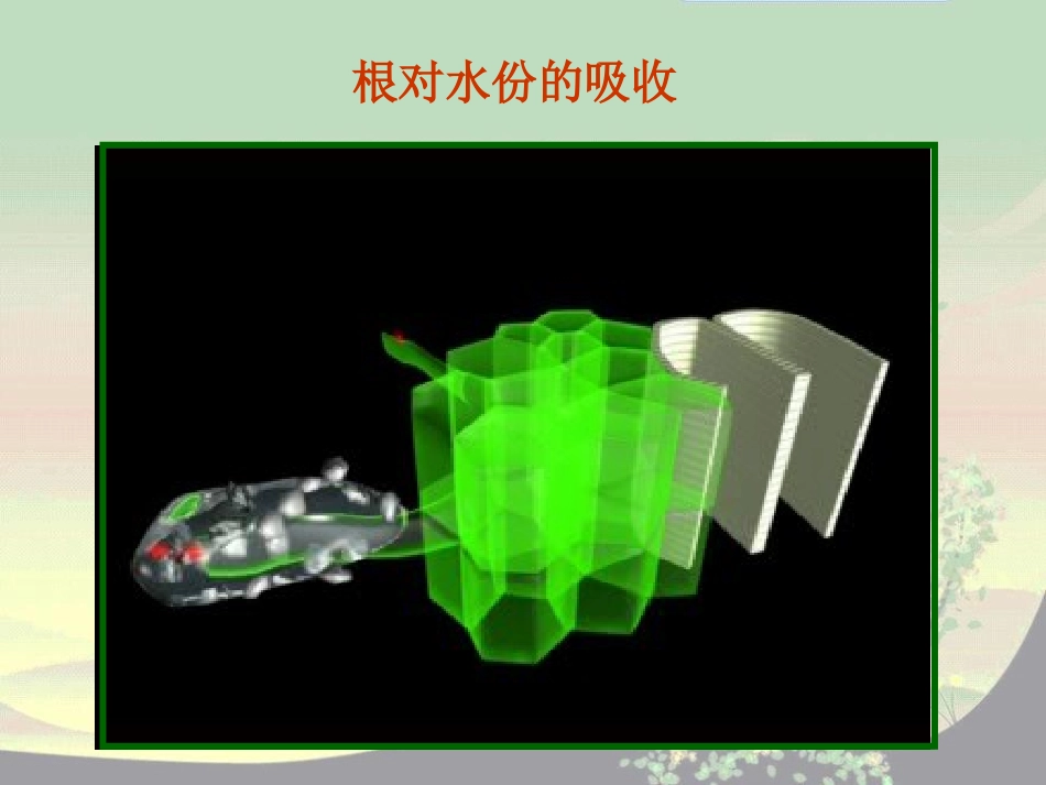 《植物的根与物质吸收》PPT课件[浙教版八年级科学下册]_第3页