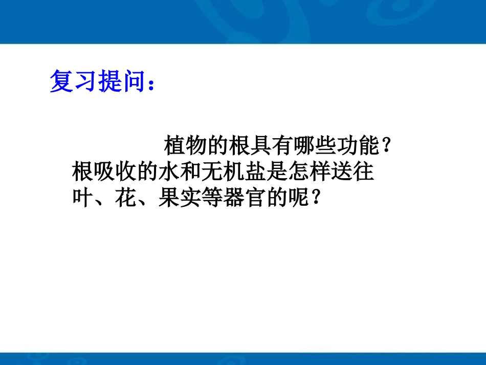 《植物的茎与物质运输》PPT课件[浙教版八年级科学下册]_第2页