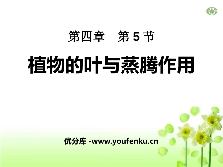 《植物的叶与蒸腾作用》PPT课件[浙教版八年级科学下册]_第1页