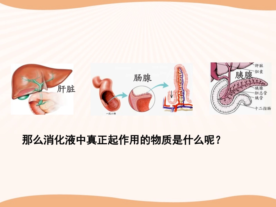 《食物的消化与吸收》PPT(第三课时)PPT课件_第2页