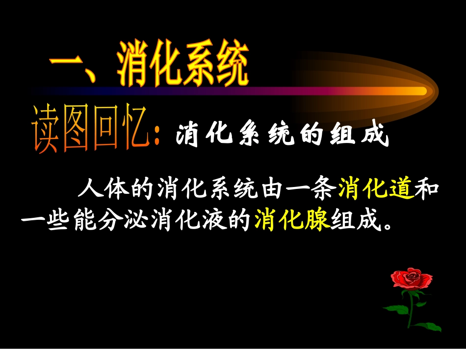 《食物的消化与吸收》PPT课件[浙教版九年级科学上册]_第2页
