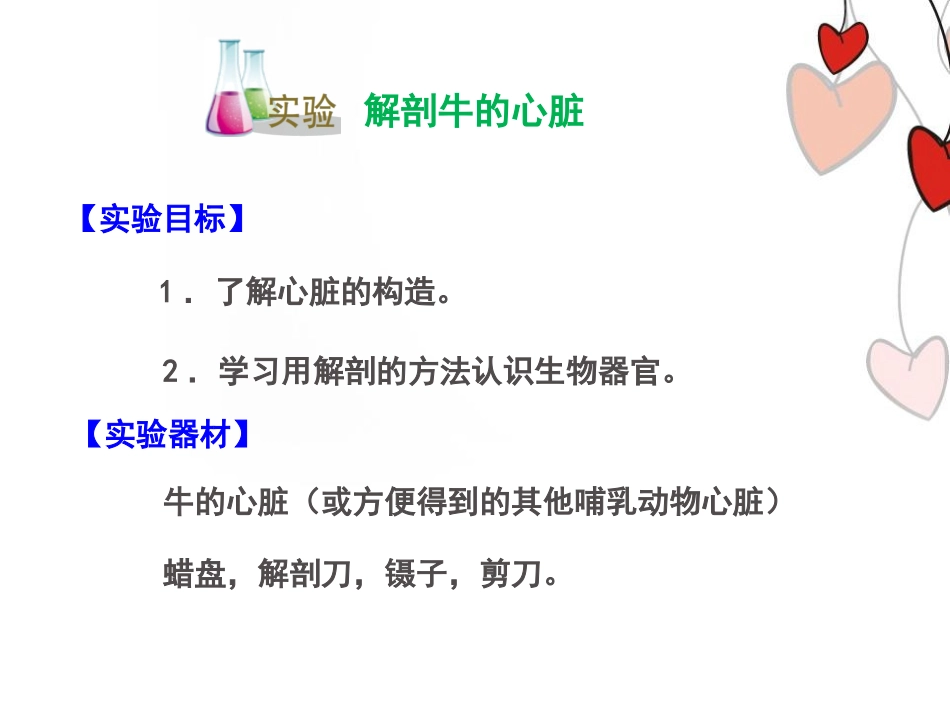 《体内物质的运输》PPT(实验课)PPT课件[浙教版九年级科学]_第1页