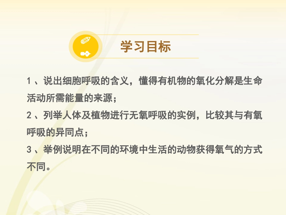 《能量的获得》PPT课件[浙教版九年级科学上册]_第3页
