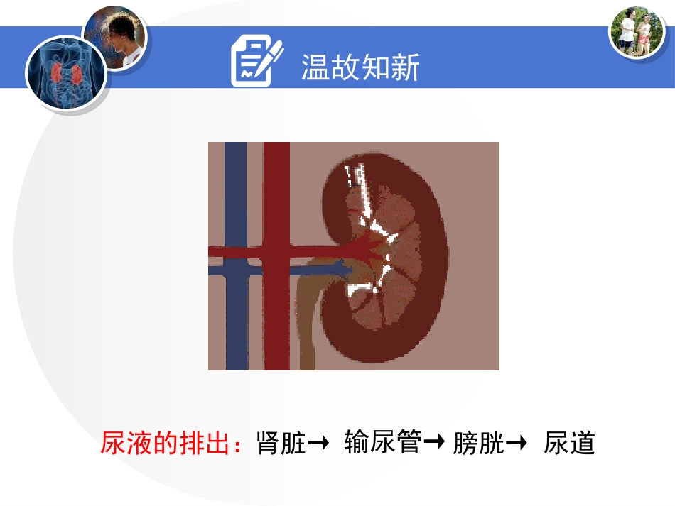《体内物质的动态平衡》PPT(第二课时)PPT课件_第2页