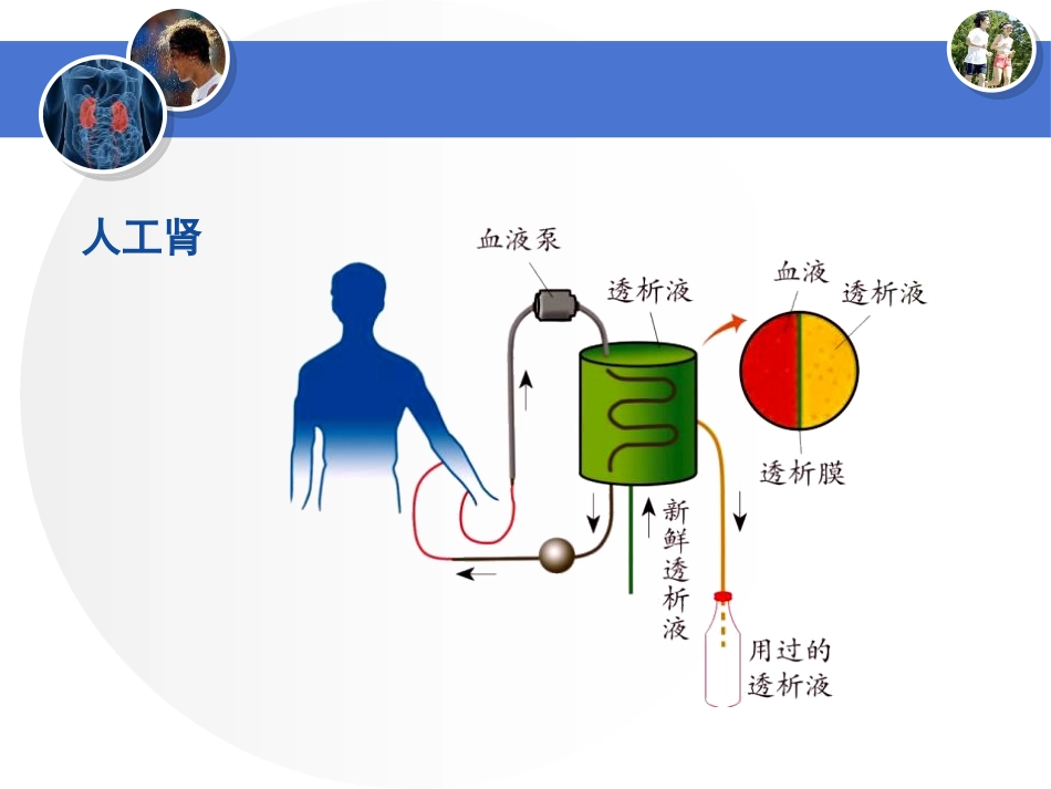 《体内物质的动态平衡》PPT(第二课时)PPT课件_第3页