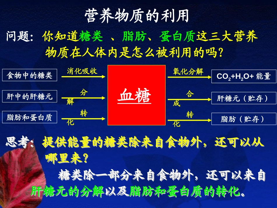《体内物质的动态平衡》PPT课件[浙教版九年级科学上册]_第3页