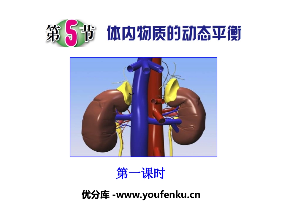 《体内物质的动态平衡》PPT课件[浙教版九年级科学上册]_第1页