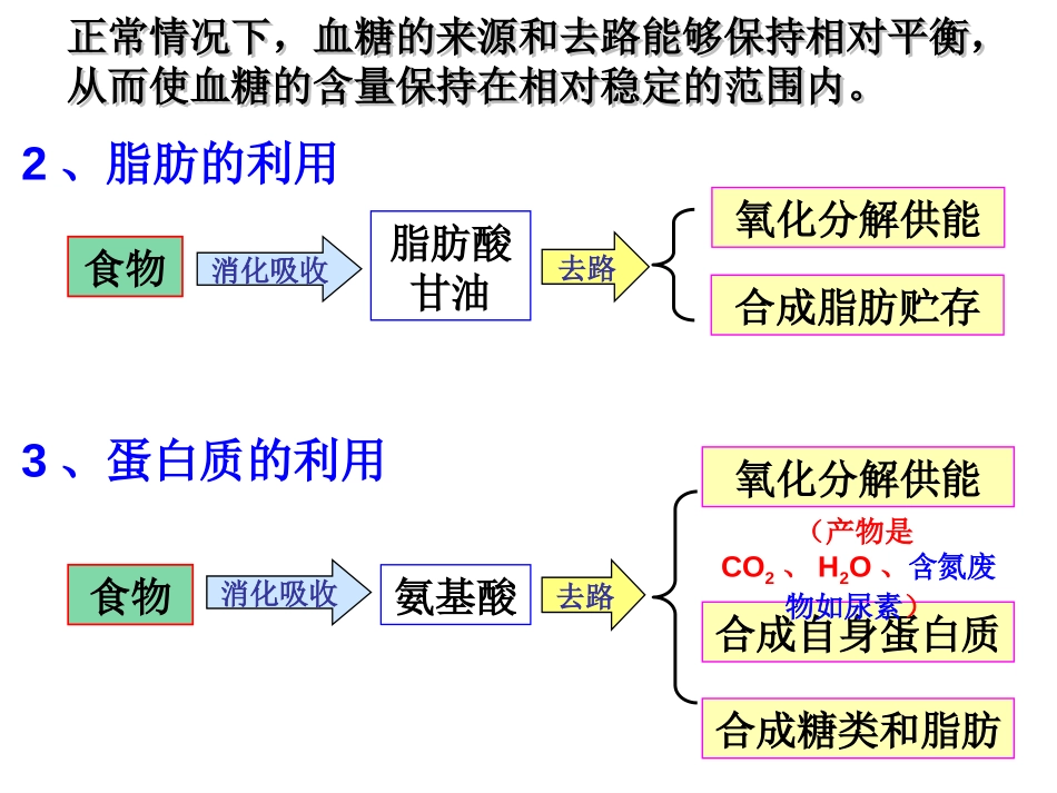 《体内物质的动态平衡》PPT课件[浙教版九年级科学上册]_第3页